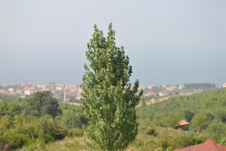 Hasan Baba Mesire Alanı - 3